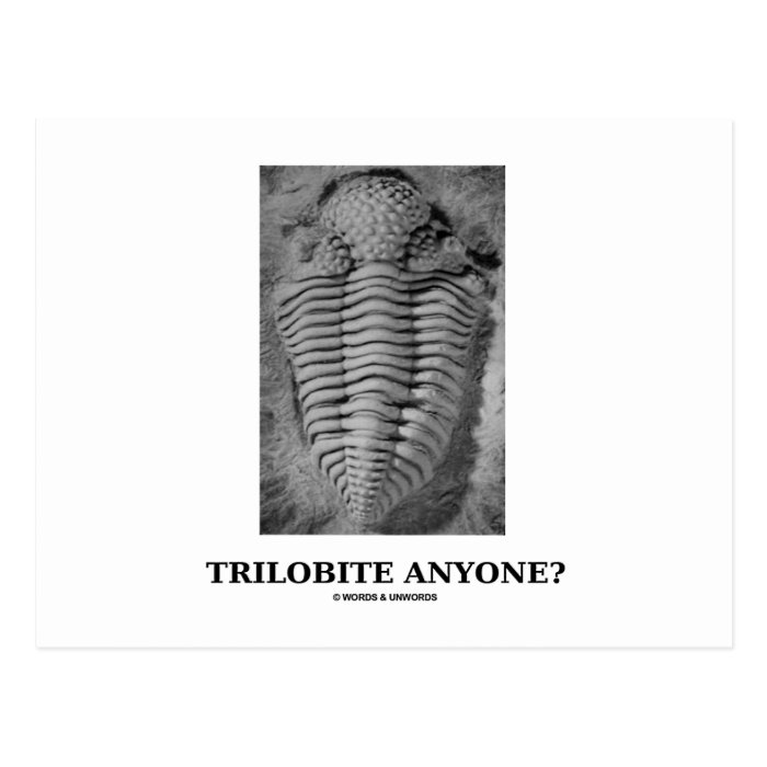 Trilobite Anyone? (Fossilized Trilobite) Post Card