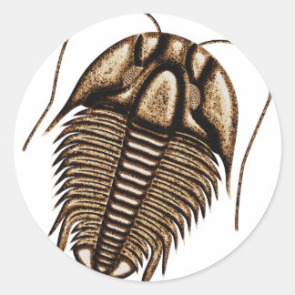Trilobite Classic Round Sticker