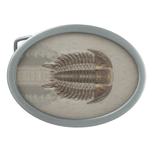 Trilobite Fossil Belt Buckle (Front)