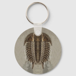 Trilobite Fossil Keychain
