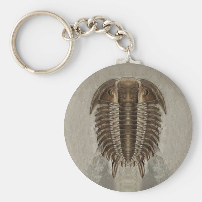 Trilobite Fossil Keychain