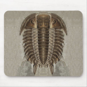 Trilobite Fossil Mousepad