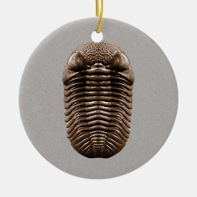 Trilobite Fossil Ornament (Front)