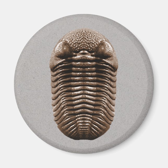 Trilobite Magnet (Front)