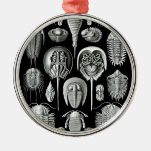 Trilobites and Fossils in Black and White Metal Ornament