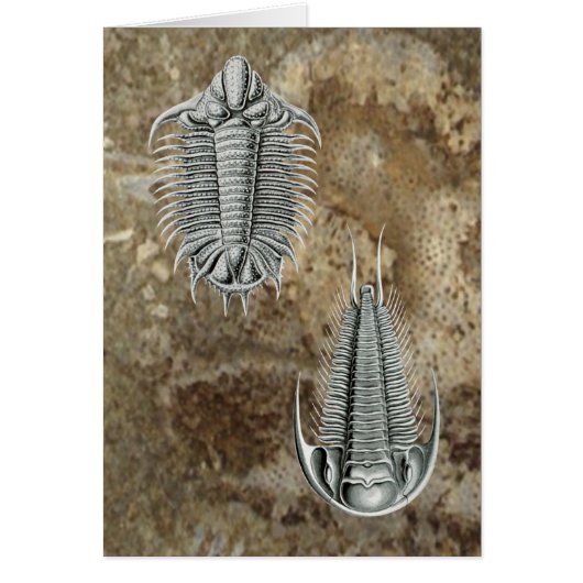 Trilobites Card (Front)