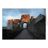 Trim Castle (Front Horizontal)