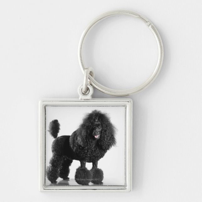 Trimmed black Poodle Keychain (Front)