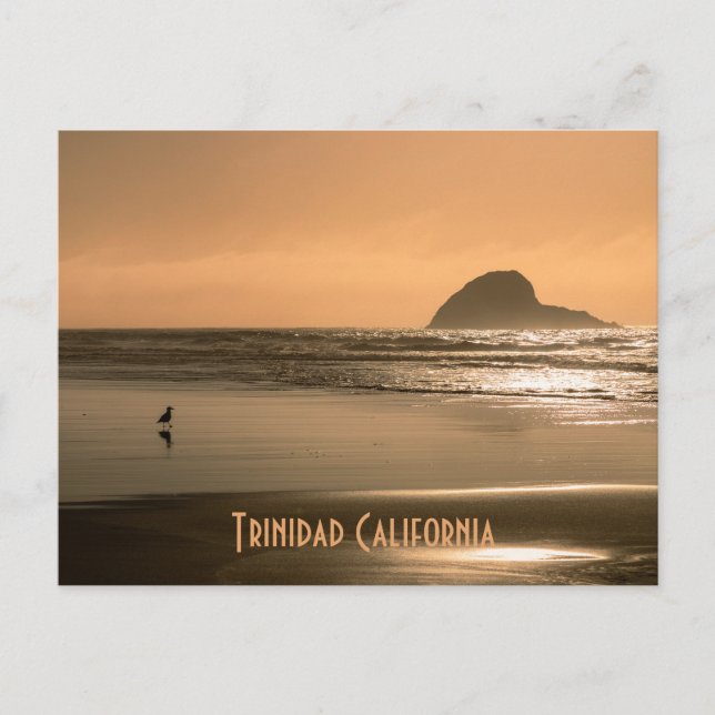 Trinidad California Postcard (Front)