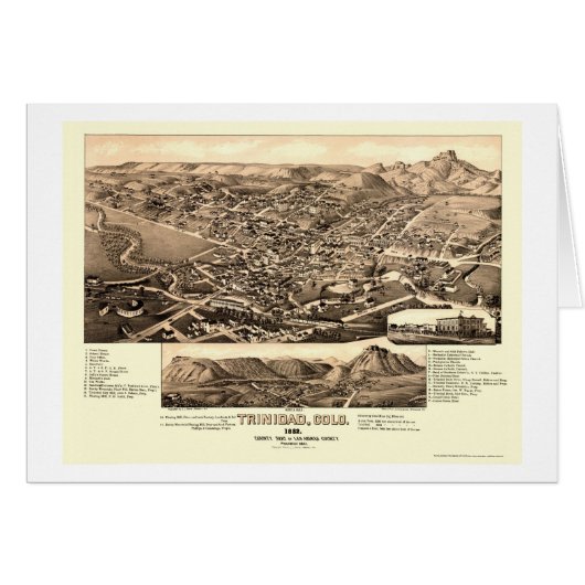 Trinidad, CO Panoramic Map - 1882 Cards (Front Horizontal)