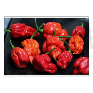 Trinidad Scorpion Hottest Chilli Cards