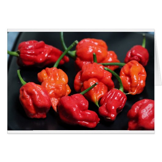 Trinidad Scorpion Hottest Chilli Cards (Front Horizontal)