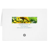 Trinity Church by Night Cards (Back Horizontal)