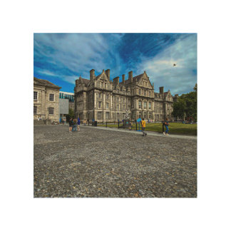 Trinity College Old Building in Dublin, Ireland Wood Wall Art