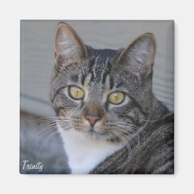 Trinity Magnet (Front)