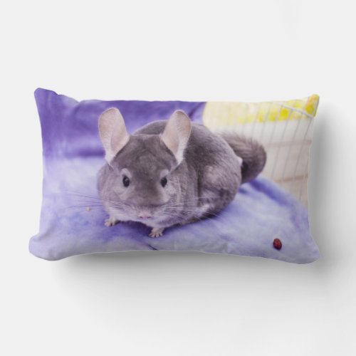 Trinket _ Chinchilla Pillow