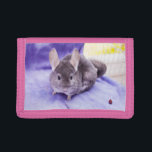 Trinket! - Chinchilla Wallet<br><div class="desc">Adorable Trinket would love to go everywhere with you. She'll always put a smile on your face with her never ending cuteness :)</div>