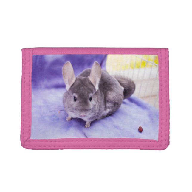 Trinket! - Chinchilla Wallet (Front)