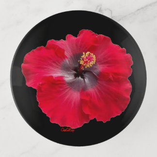 Trinket Tray