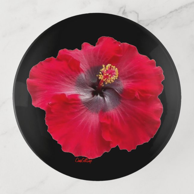 Trinket Tray (Front)
