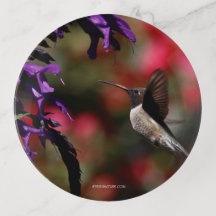 Trinket Tray featuring Hummingbird