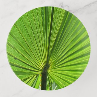 Trinket Tray - Green Palm Frond