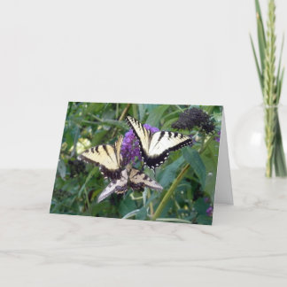 trio butterflys card