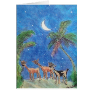 Trio in the Moonlight Cards