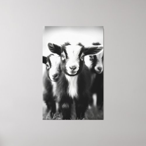 Trio of Baby Goats Monochromatic Portrait Canvas Print