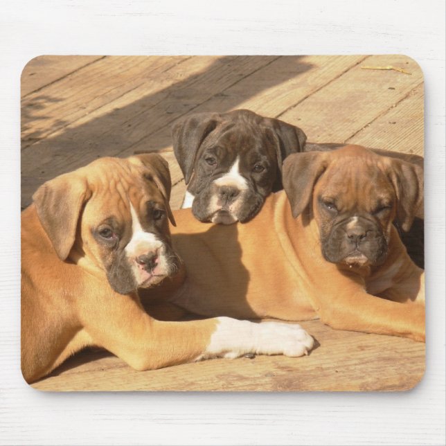 Trio of boxer puppies mousepad (Front)