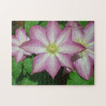 Trio of Clematis Pink and White Spring Flowers Jigsaw Puzzle