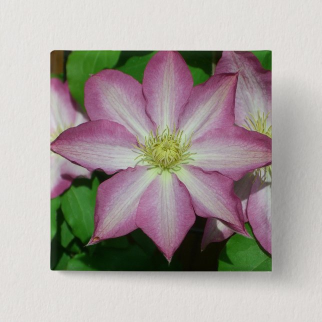 Trio of Clematis Pink and White Spring Vine Button (Front)