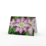 Trio of Clematis Pink and White Spring Vine Card