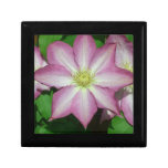 Trio of Clematis Pink and White Spring Vine Keepsake Box