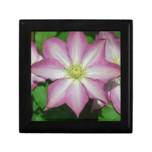 Trio of Clematis Pink and White Spring Vine Keepsake Box