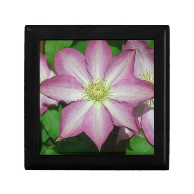 Trio of Clematis Pink and White Spring Vine Keepsake Box (Front)