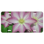 Trio of Clematis Pink and White Spring Vine License Plate