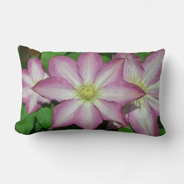 Trio of Clematis Pink and White Spring Vine Lumbar Pillow (Front)