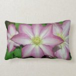 Trio of Clematis Pink and White Spring Vine Lumbar Pillow