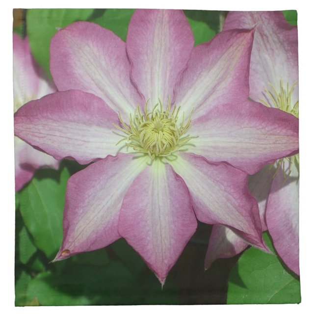 Trio of Clematis Pink and White Spring Vine Napkin (Front)