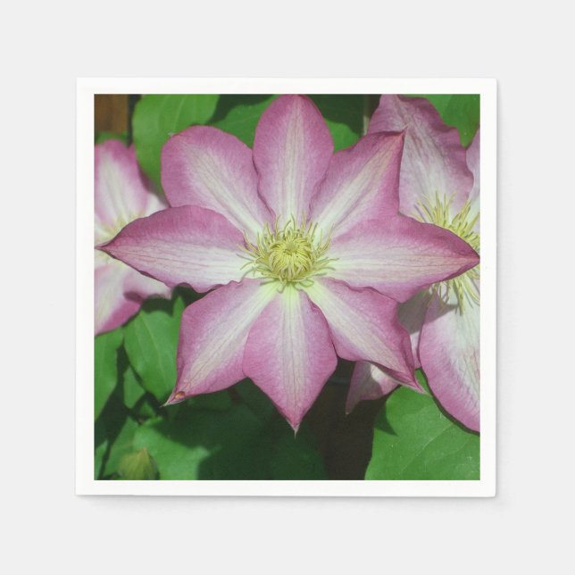 Trio of Clematis Pink and White Spring Vine Napkins (Front)