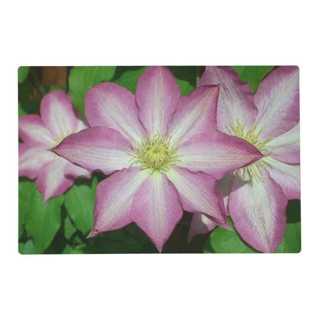 Trio of Clematis Pink and White Spring Vine Placemat (Front)