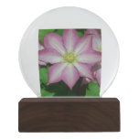Trio of Clematis Pink and White Spring Vine Snow Globe