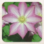 Trio of Clematis Pink and White Spring Vine Square Paper Coaster