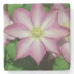 Trio of Clematis Pink and White Spring Vine Stone Coaster
