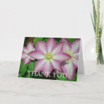 Trio of Clematis Pink and White Spring Vine Thank You Card