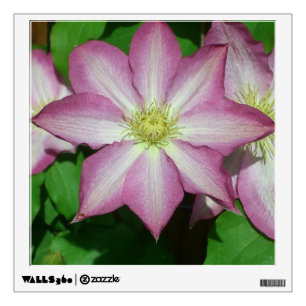 Trio of Clematis Pink and White Spring Vine Wall Decal