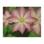 Trio of Clematis Pink and White Spring Vine Wood Wall Decor