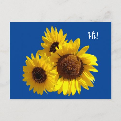 Trio of Cut Out Sunflowers Photo on Blue Postcard