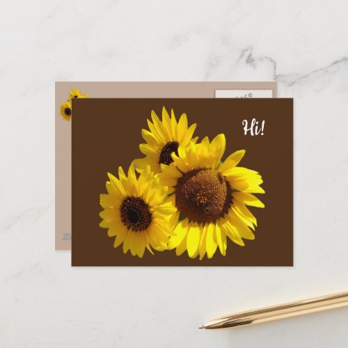 Trio of Cut Out Sunflowers Photo on Brown Postcard